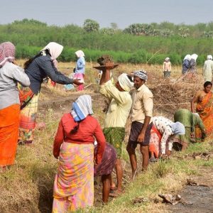 100 நாள் வேலை திட்டப் பயனாளிகள் ஆகஸ்ட-31 ஆம் தேதிக்குள் ஆதாரை இணைப்பது கட்டாயம்!