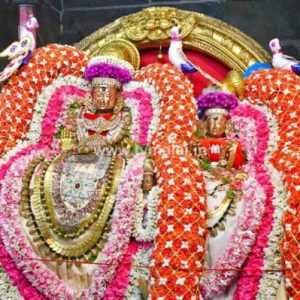 திருவண்ணாமலை அருள்மிகு அருணாசலேஸ்வரர் திருக்கோயில் சித்திரை வசந்த உற்சவம் – Day 6