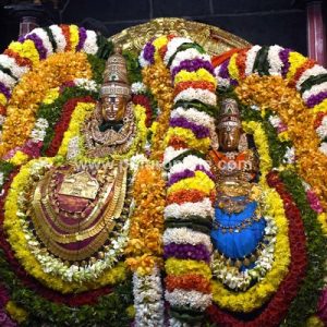 திருவண்ணாமலை அருள்மிகு அருணாசலேஸ்வரர் திருக்கோயில் சித்திரை வசந்த உற்சவம் – DAY 5