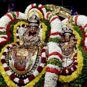 திருவண்ணாமலை அருள்மிகு அருணாசலேஸ்வரர் திருக்கோயில் சித்திரை வசந்த உற்சவம் – Day 9