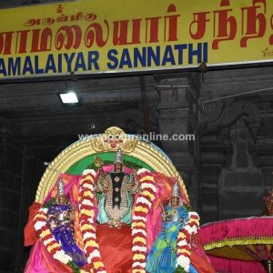 திருவண்ணாமலை அருள்மிகு அண்ணாமலையார் திருக்கோயில் தை கிருத்திகை !