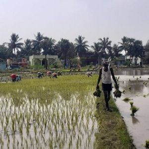 திருவண்ணாமலை மாவட்டத்தில் விவசாயிகளுக்கான தொழில் முனைவோர் பயிற்சி!