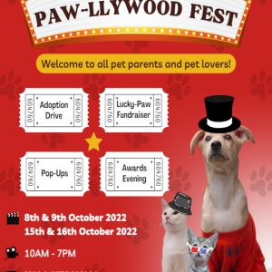 Paw-llywood Fest – give furry friends a home!