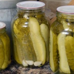 What benefits can we get by eating pickles during the winter season?