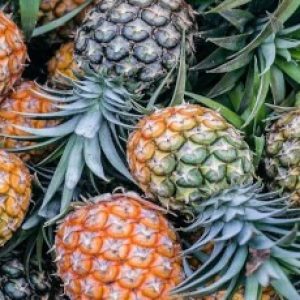 Why consuming pineapple during periods would be highly beneficial for women?