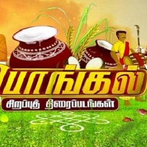 Pongal 2024 Special Movies on Tamil TV Channels