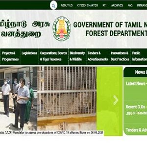 தமிழ்நாடு அரசு வனத்துறை வேலைவாய்ப்பிற்கான அறிவிப்பை வெளியிட்டுள்ளது!