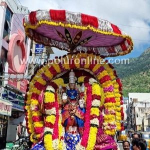 அருள்மிகு அண்ணாமலையார் திருக்கோயிலில் ஆடிப்பூரம் ஐந்தாம் நாள் உற்சவம்!