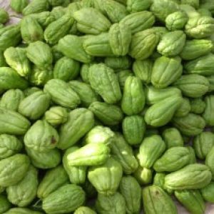 Surprising health benefits of eating chow chow or chayote!!