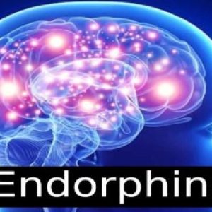 What is the need for endorphins to increase in us and ways to increase endorphins!!