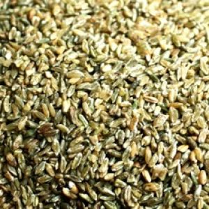 Are you aware of these health benefits of consuming superfood freekeh or green wheat?