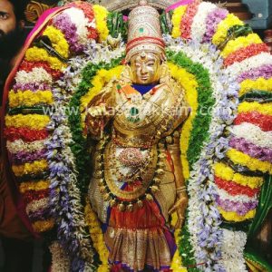 மாணிக்கவாசகர் உற்சவம் – ஒன்பதாம் நாள் மாலை