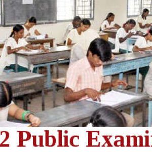 Tamil Nadu Releases General Examination Schedule for Classes 10, 11, and 12