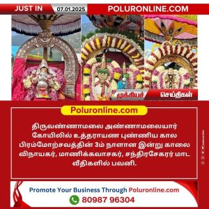 திருவண்ணாமலை: உத்தராயண புண்ணிய காலம் 3 ஆம் நாள் பவனி!!