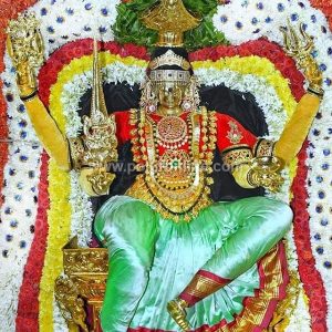 திருவண்ணாமலை அருணாசலேஸ்வரர் திருக்கோவிலில் அருள்மிகு பூமாரியம்மன் பூ பல்லக்கில் வீதி உலா!