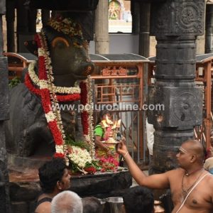 திருவண்ணாமலை அருணாச்சலேஸ்வரர் கோவிலில் ஆடி மாத அமாவாசை பிரதோஷம்!