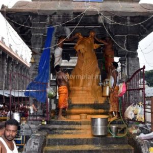 திருவண்ணாமலை அண்ணாமலையார் கோவிலில் கார்த்திகை மாத பிரதோஷ வழிபாடு!